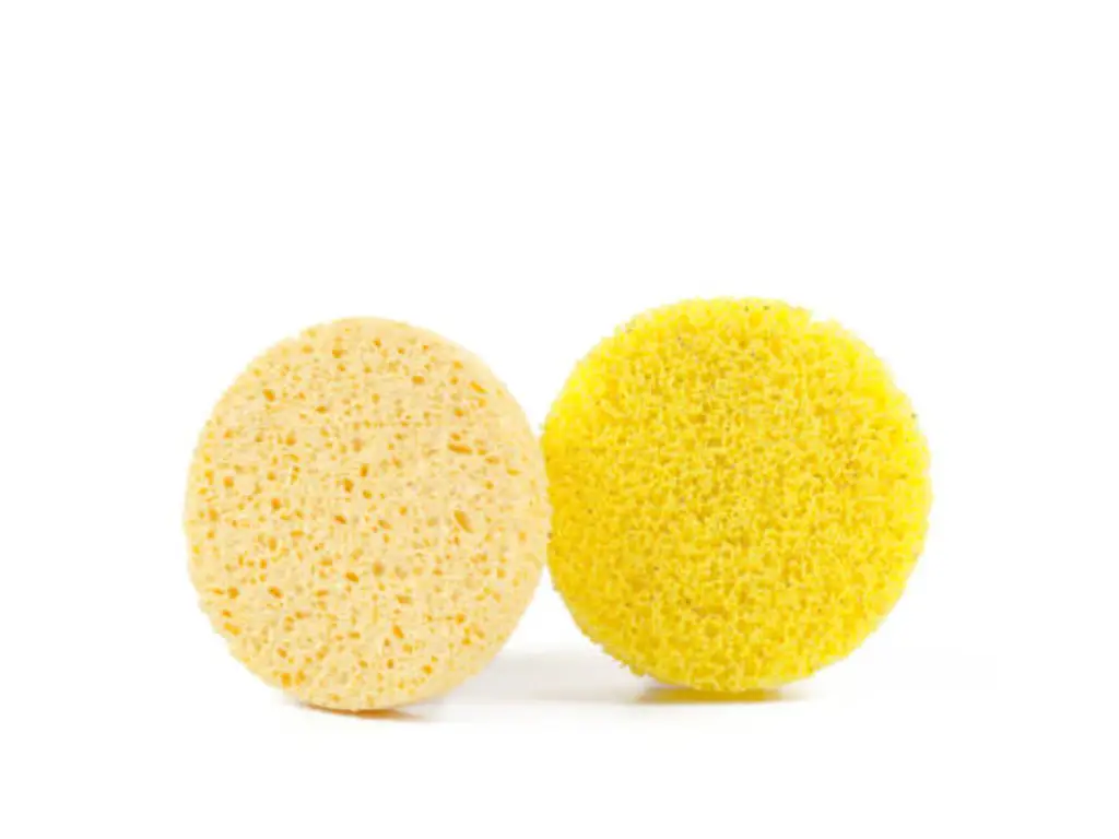 Absorption-Based Products- Sponges